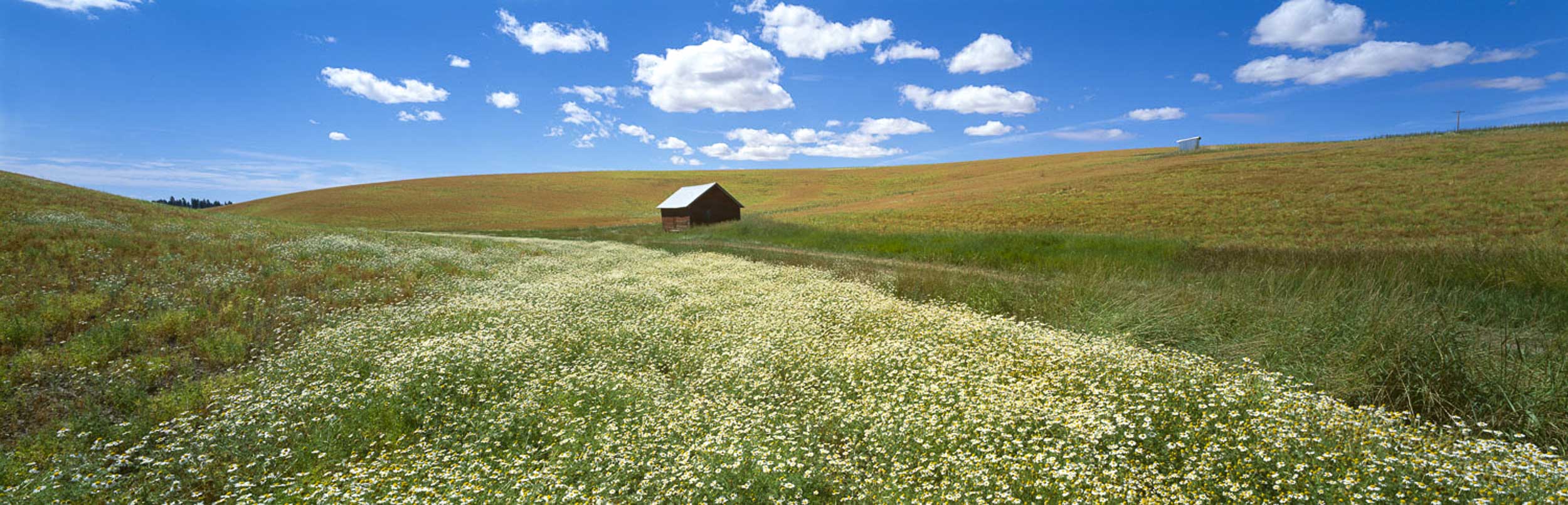 Simplicity, Idaho