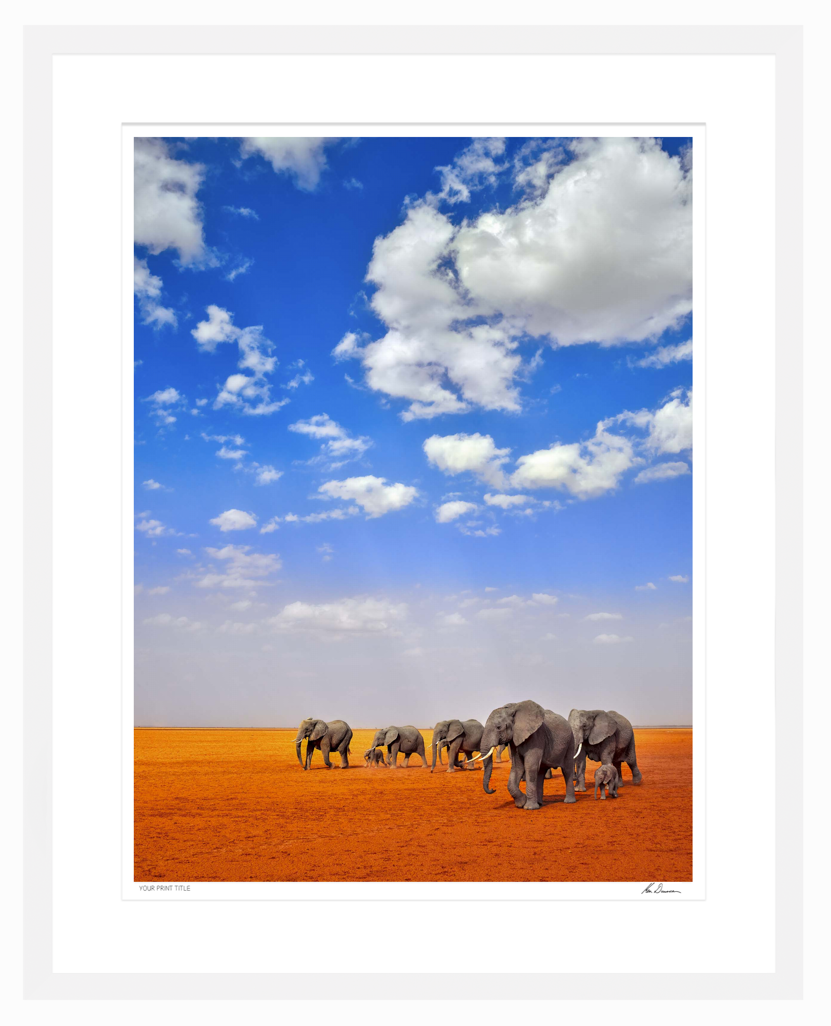 Elephant Parade - Large Framed Wall Stock Sale (One Only)