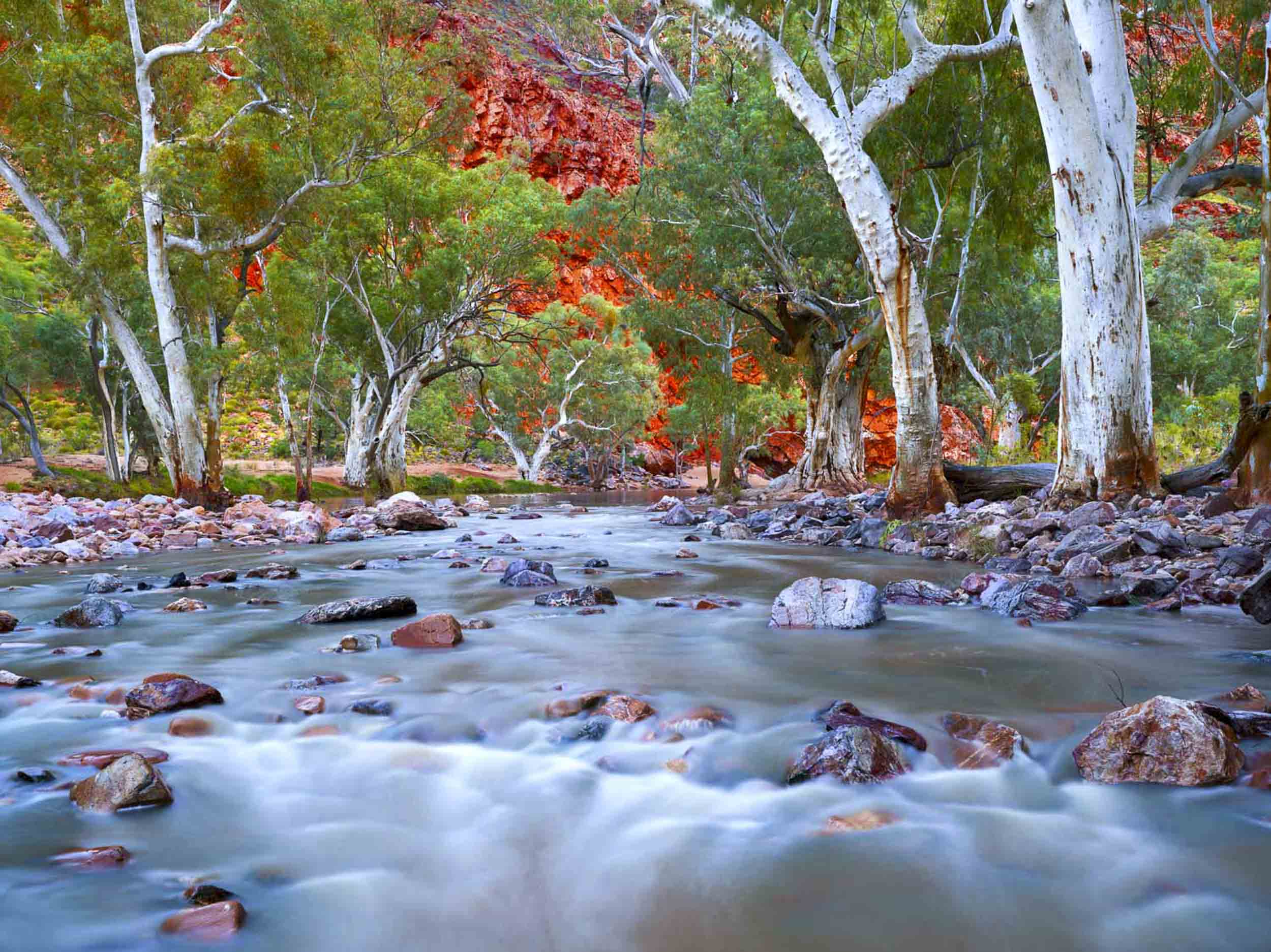 Outback Revival, NT