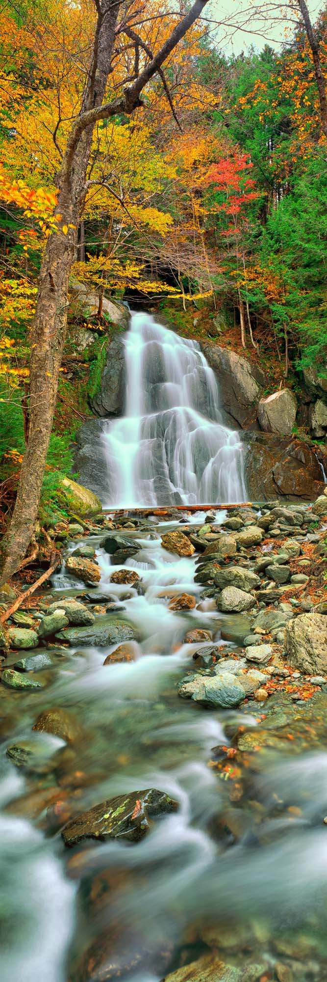 Rejuvenation, Moss Glen Falls, VT