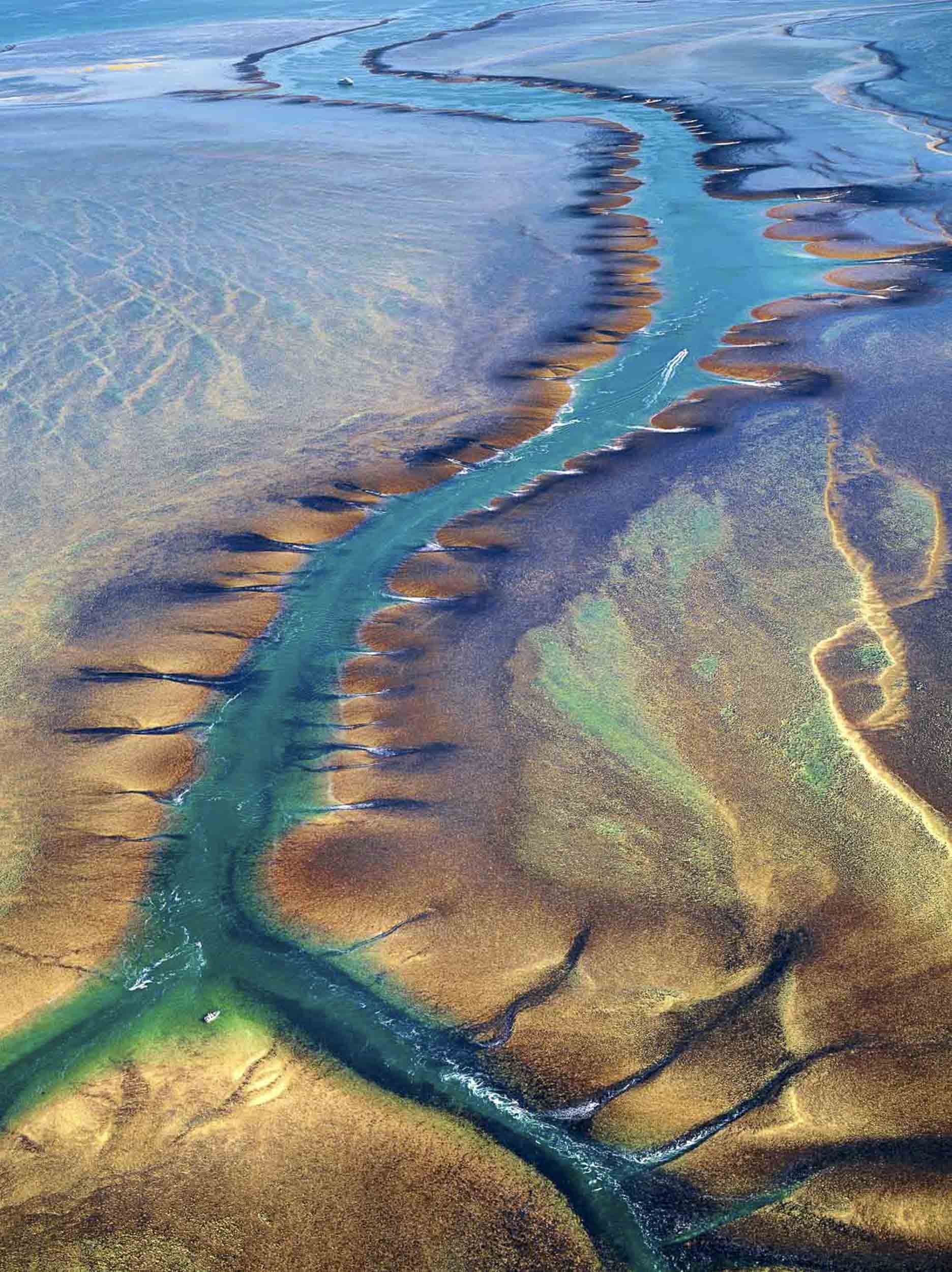 Tidal River